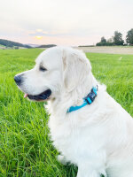 Fumiko® Halsband & Leine Kombi Sam´s Blue aus Biothane